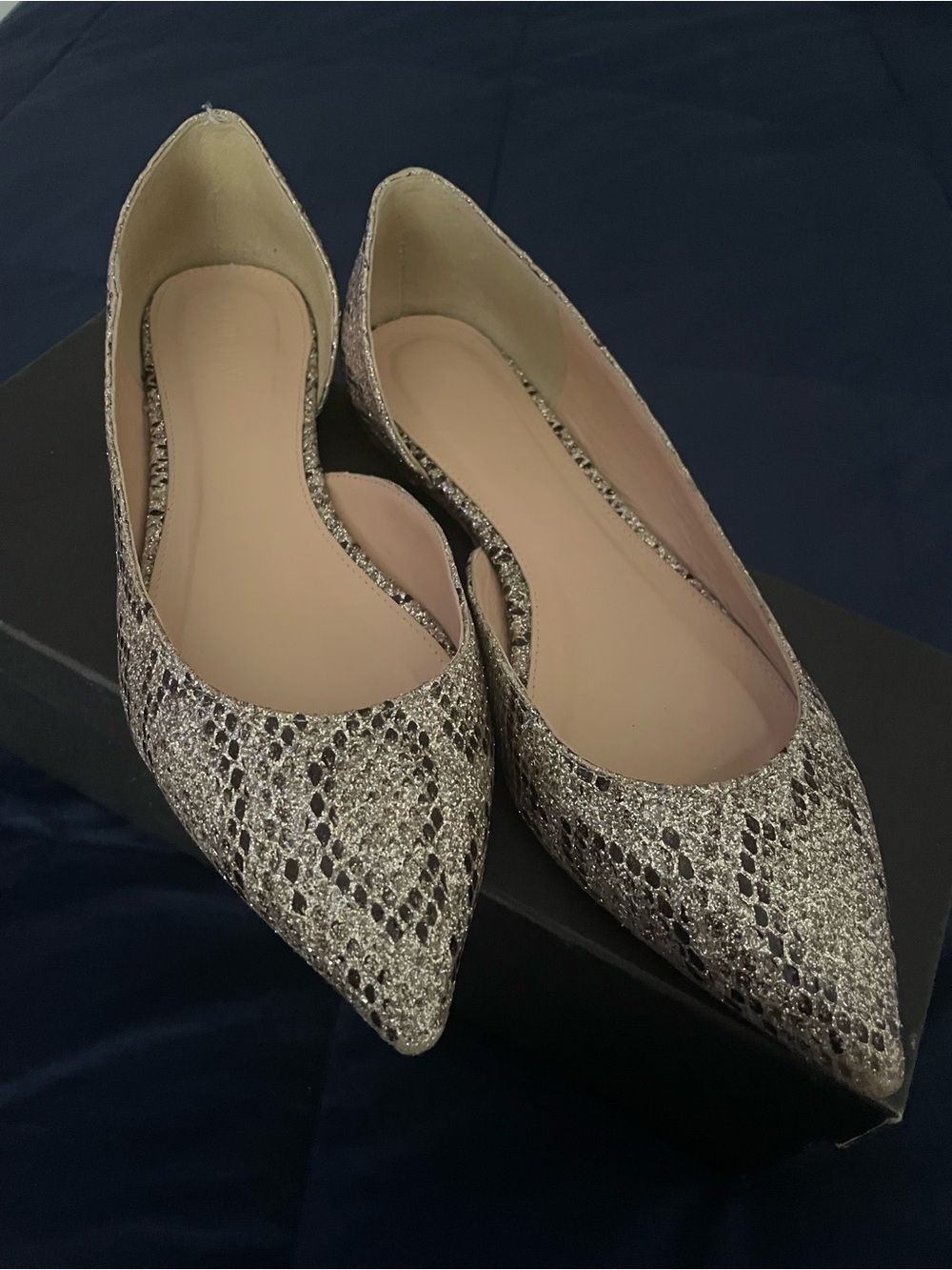 J Crew- Pointed Toe Women's Flats in Silver Snake Print- Like New